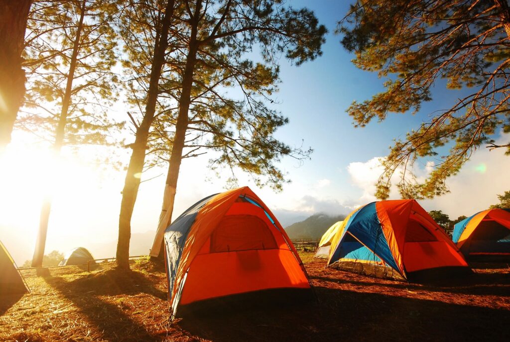 Sunlit tents in a forested campsite.