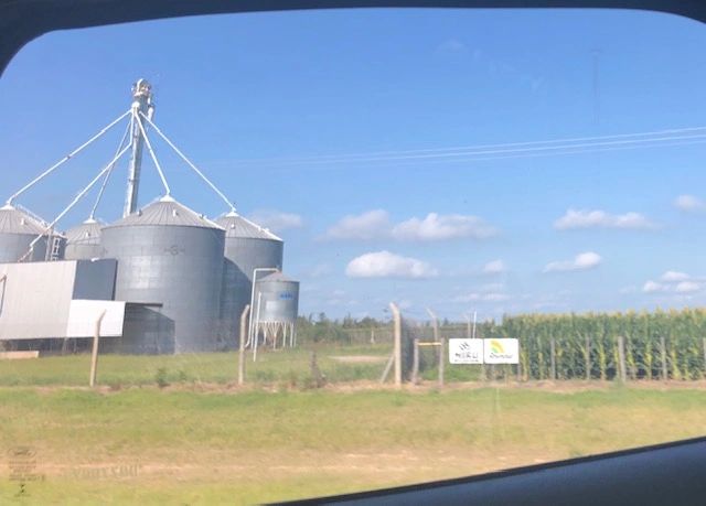 Grain silos and cornfield under blue sky.