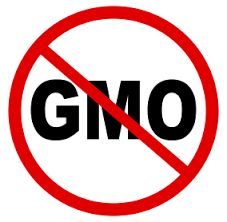 No GMO symbol with red circle.