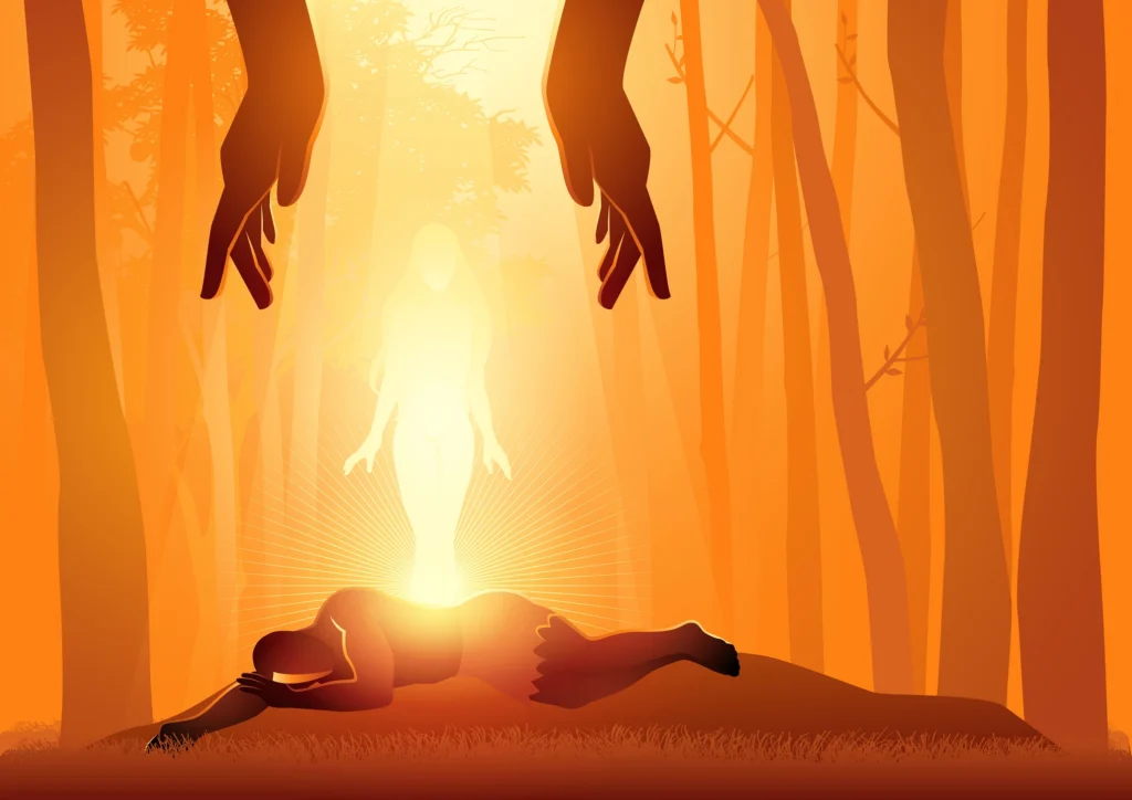 Person laying on the ground in the middle of a forest, surrounded by trees and illuminated by the sun