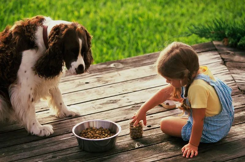 Little girl sitting on a wooden deck next to a dog, with a bowl of food in front of them
