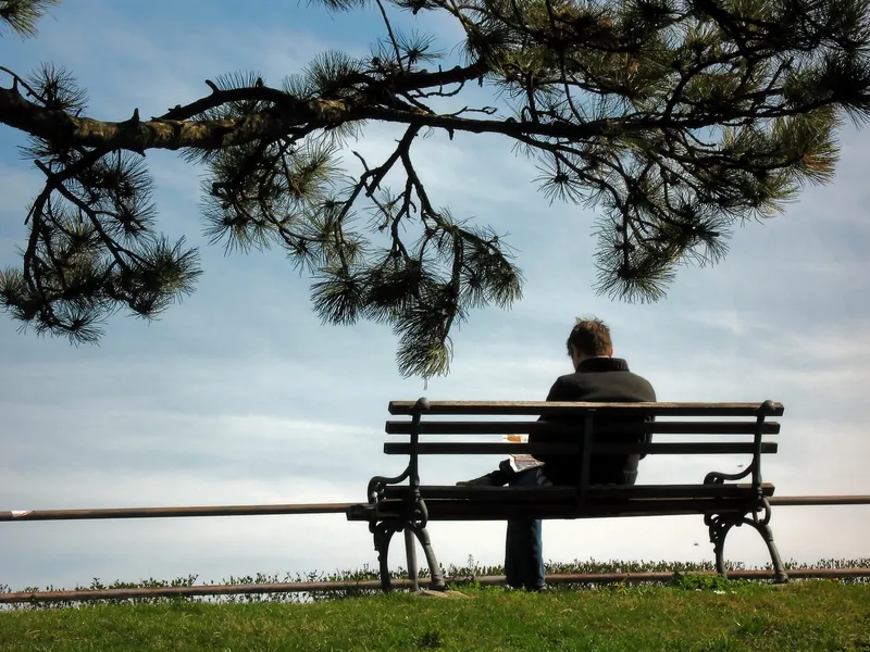 Man sitting on a bench, reading a book, surrounded by lush green grass and a tree in the background