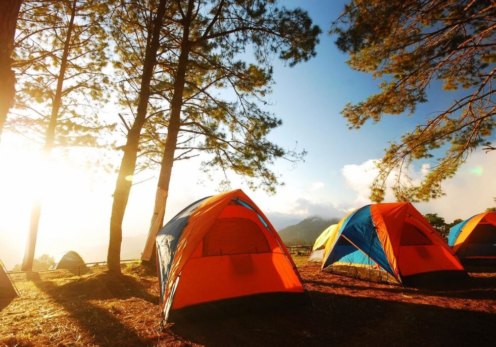 Sunlit tents in a forested campsite.