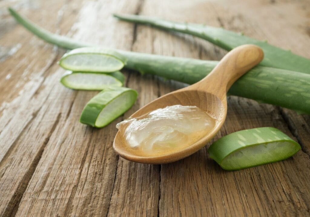 Aloe vera gel on wooden spoon.