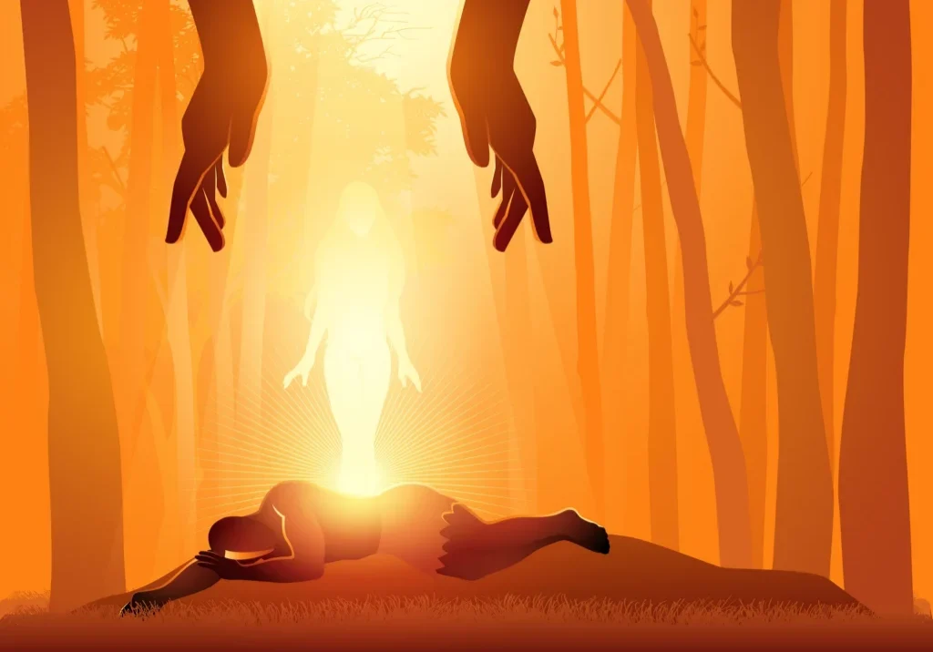 Person laying on the ground in the middle of a forest, surrounded by trees and illuminated by the sun