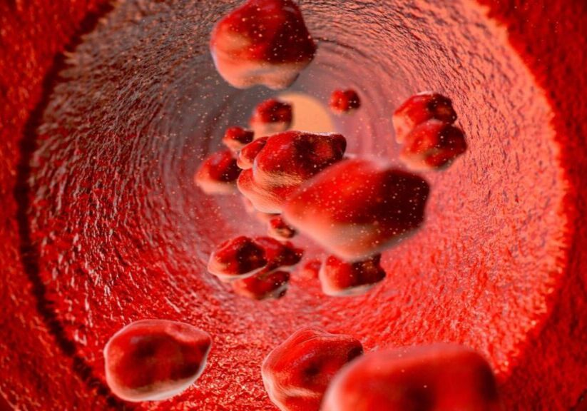 Red blood cells inside an artery.