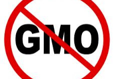 No GMO symbol with red circle.