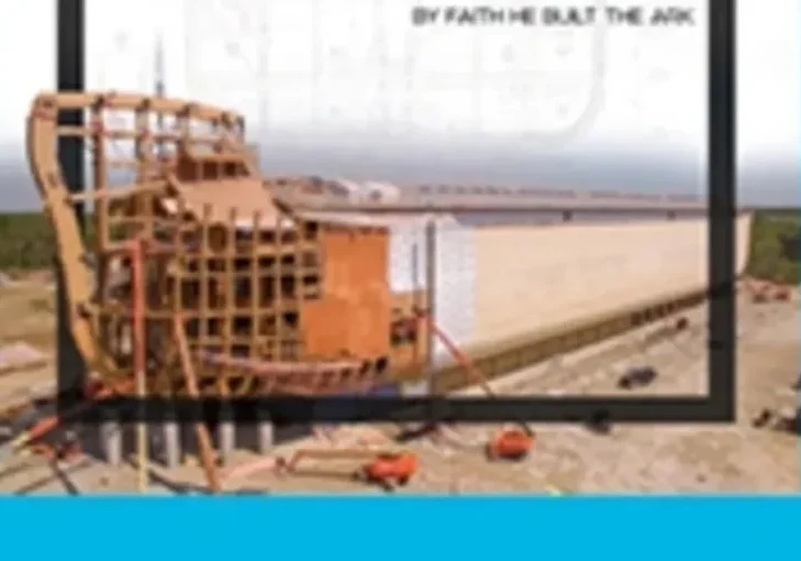 Wooden boat being built on the beach, with a bridge in the background, trees on either side