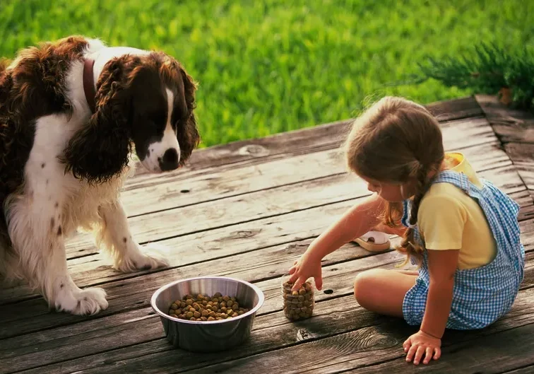 Little girl sitting on a wooden deck next to a dog, with a bowl of food in front of them