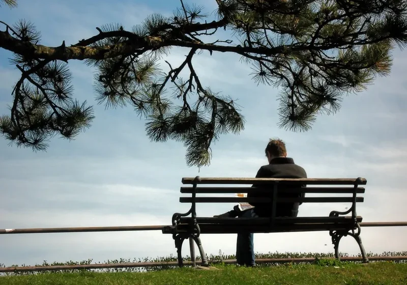 Man sitting on a bench, reading a book, surrounded by lush green grass and a tree in the background